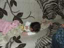DSCF0293.jpg