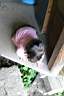 218_1831.jpg