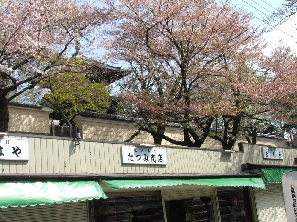 Nastpny