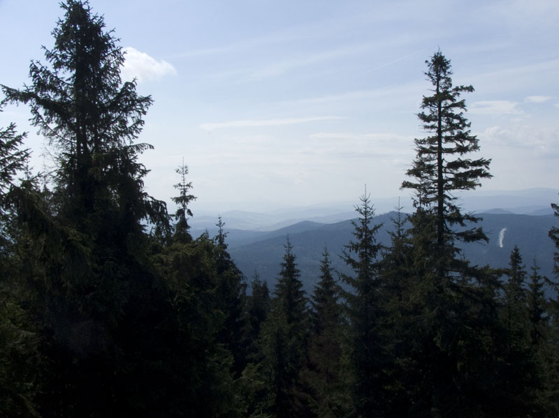 DSCF4086