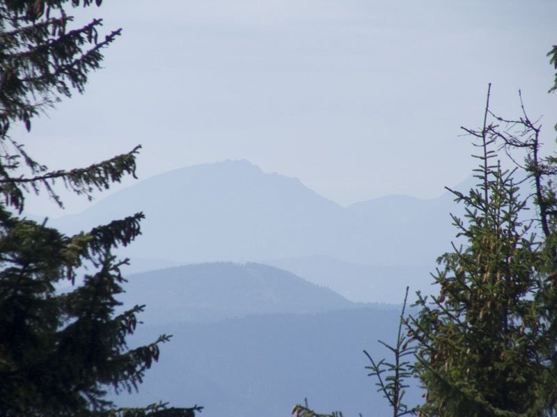 DSCF4087