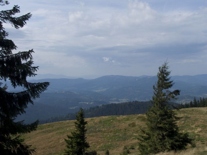 DSCF4088