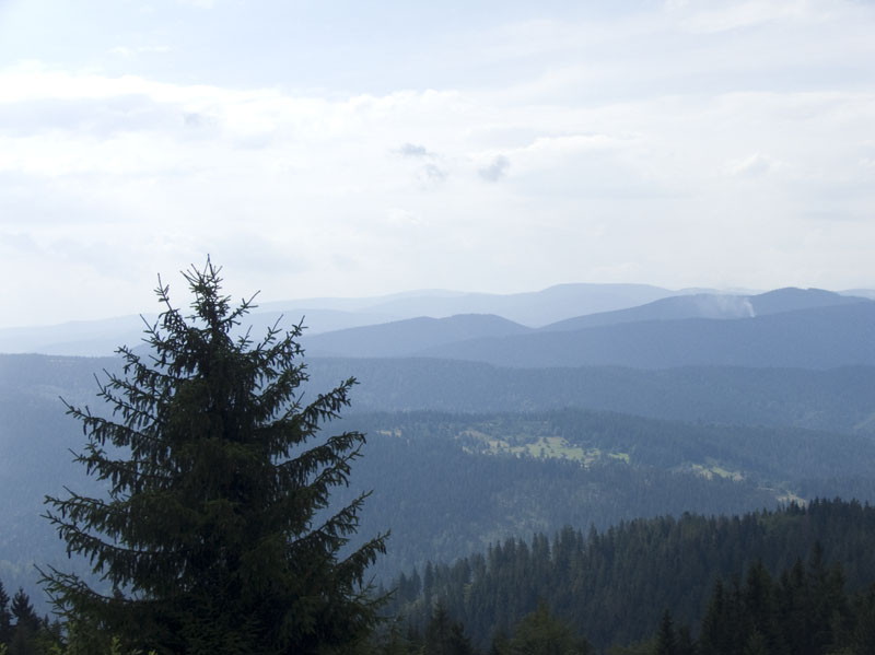 DSCF4100
