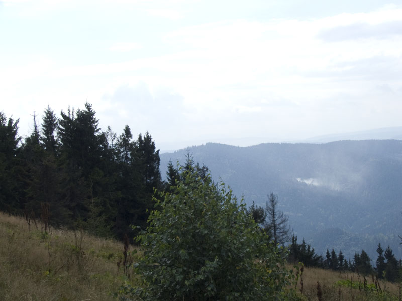 DSCF4102
