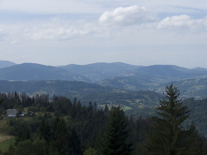 DSCF4108