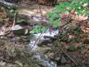 DSCF0689.jpg
