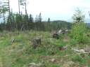 DSCF0704.jpg