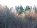 DSCF1479.jpg
