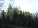 DSCF1481.jpg