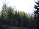DSCF1482.jpg
