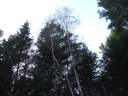 DSCF1483.jpg
