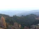 DSCF1484.jpg