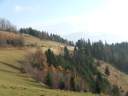 DSCF1488.jpg