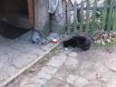 DSCF1499.jpg