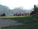 DSCF1516.jpg