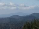 DSCF1523.jpg