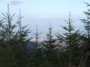 DSCF1538.jpg