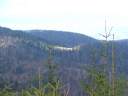 DSCF1539.jpg