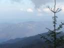 DSCF1542.jpg
