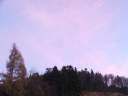 DSCF1557.jpg