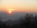 DSCF1583.jpg