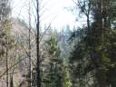 DSCF1648.jpg