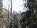 DSCF1650.jpg