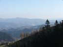 DSCF1662.jpg