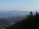 DSCF1664.jpg