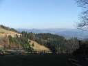 DSCF1667.jpg