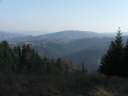 DSCF1672.jpg