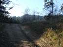 DSCF1673.jpg