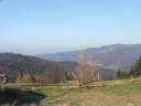 DSCF1676.jpg