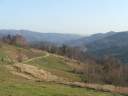 DSCF1686.jpg