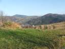 DSCF1690.jpg